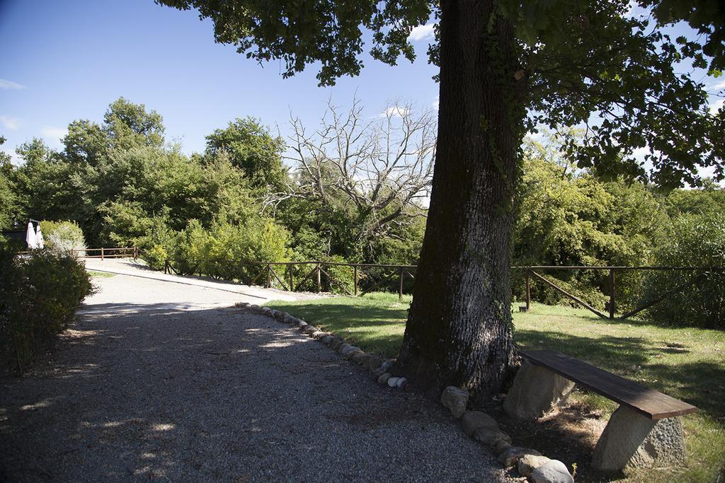 Agriturismo Pieve De Pitti Terricciola Zewnętrze zdjęcie