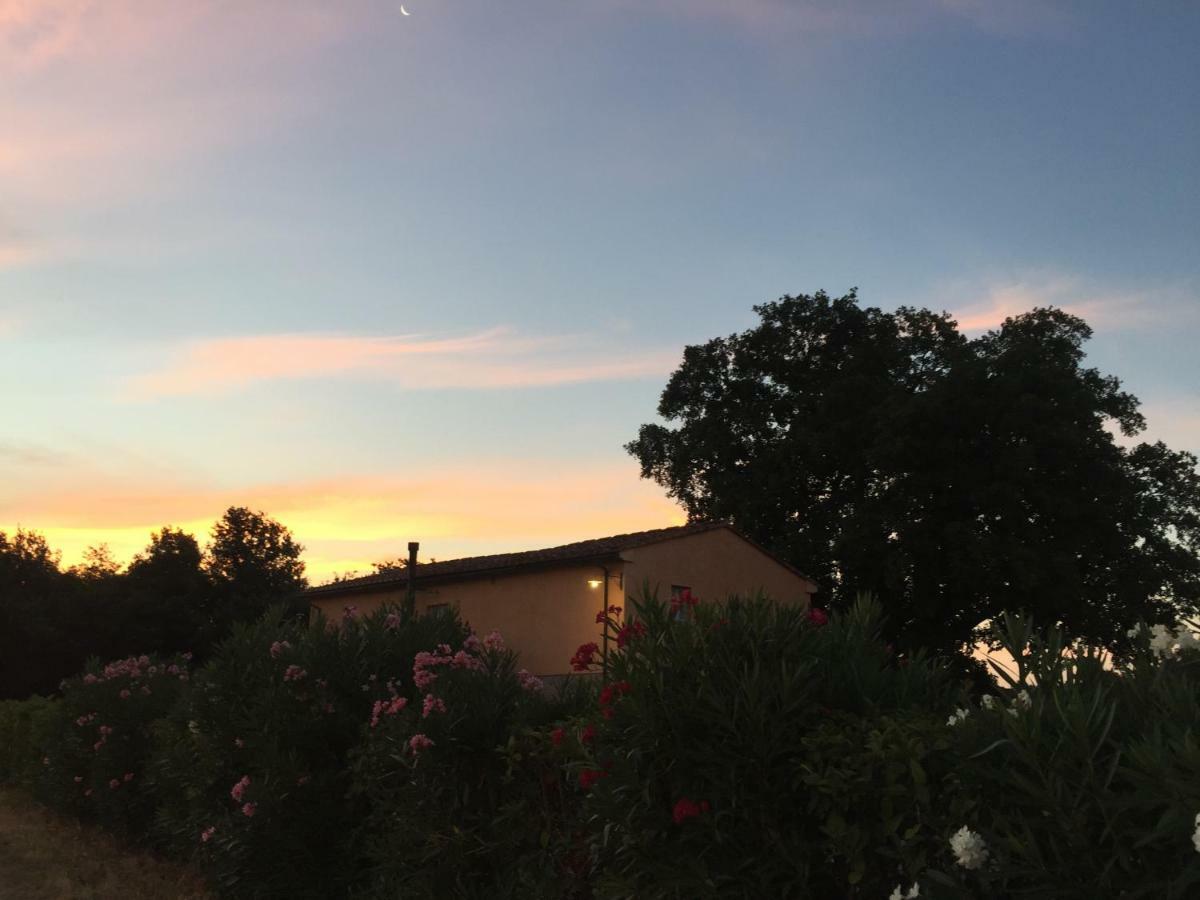 Agriturismo Pieve De Pitti Terricciola Zewnętrze zdjęcie