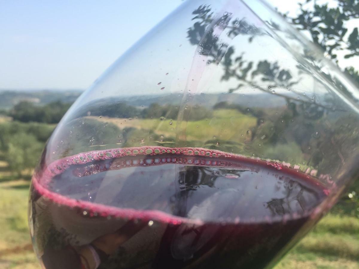 Agriturismo Pieve De Pitti Terricciola Zewnętrze zdjęcie