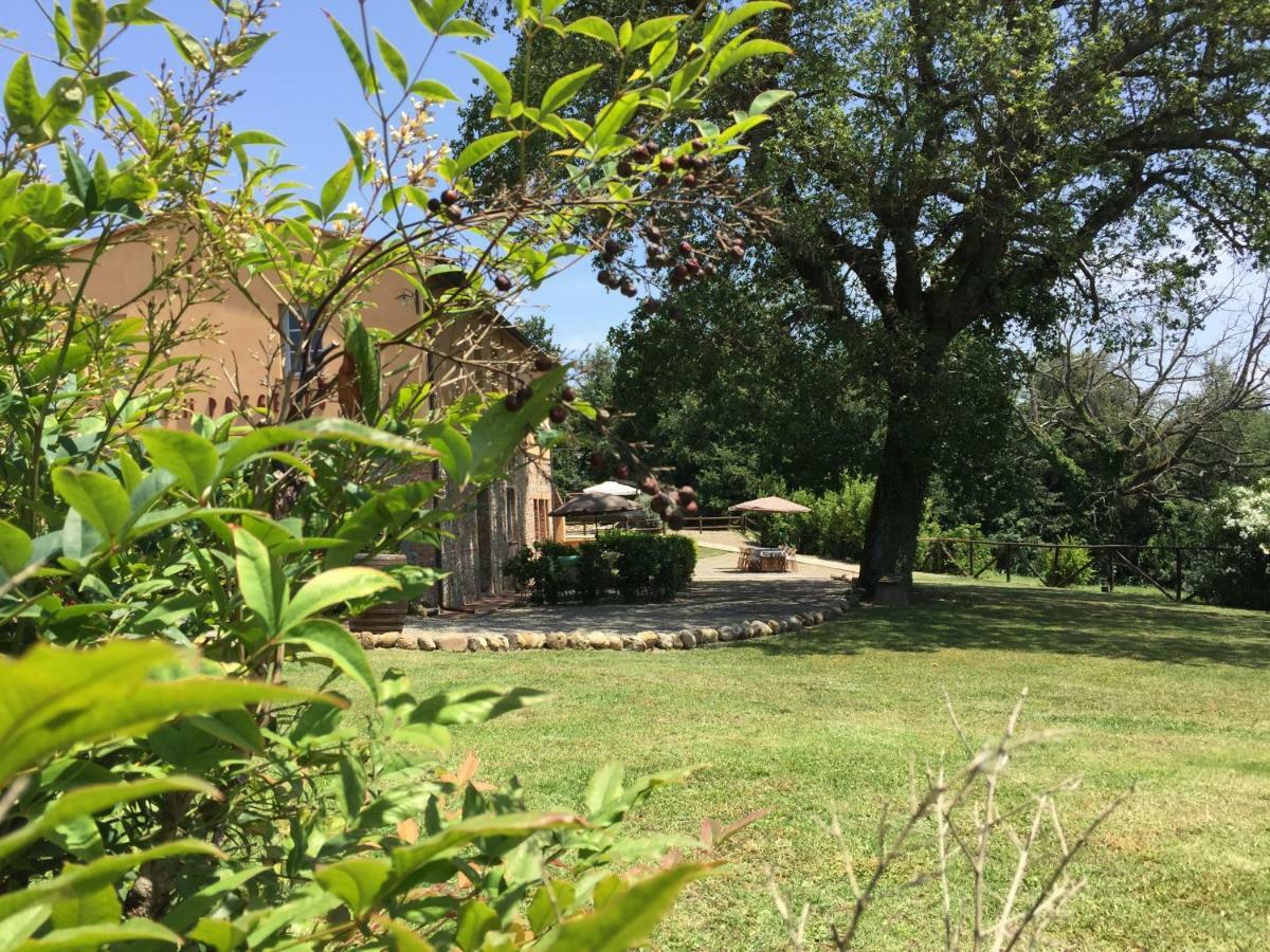 Agriturismo Pieve De Pitti Terricciola Zewnętrze zdjęcie