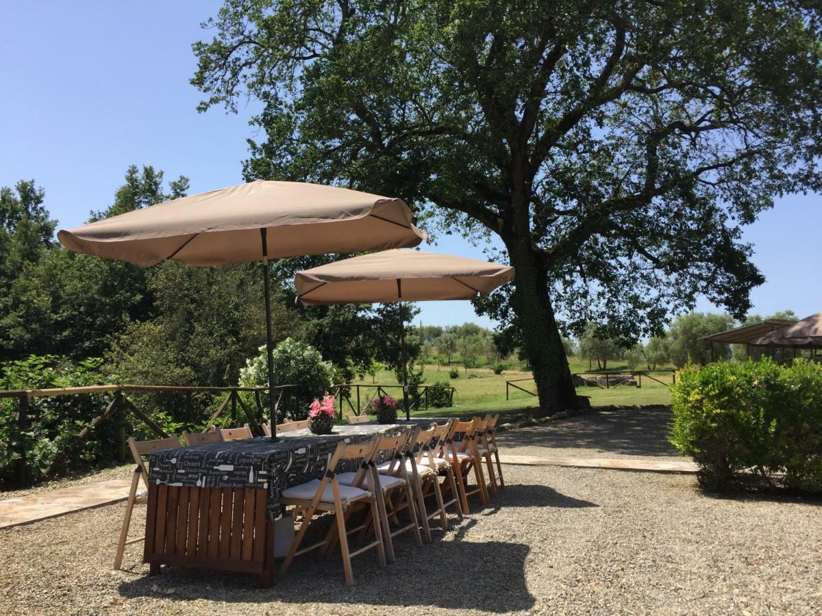 Agriturismo Pieve De Pitti Terricciola Zewnętrze zdjęcie