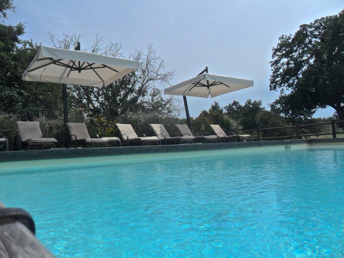 Agriturismo Pieve De Pitti Terricciola Zewnętrze zdjęcie